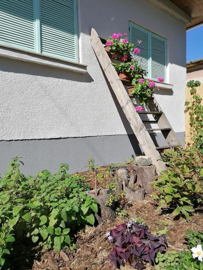Mezőkövesd Menta Apartman מראה חיצוני תמונה