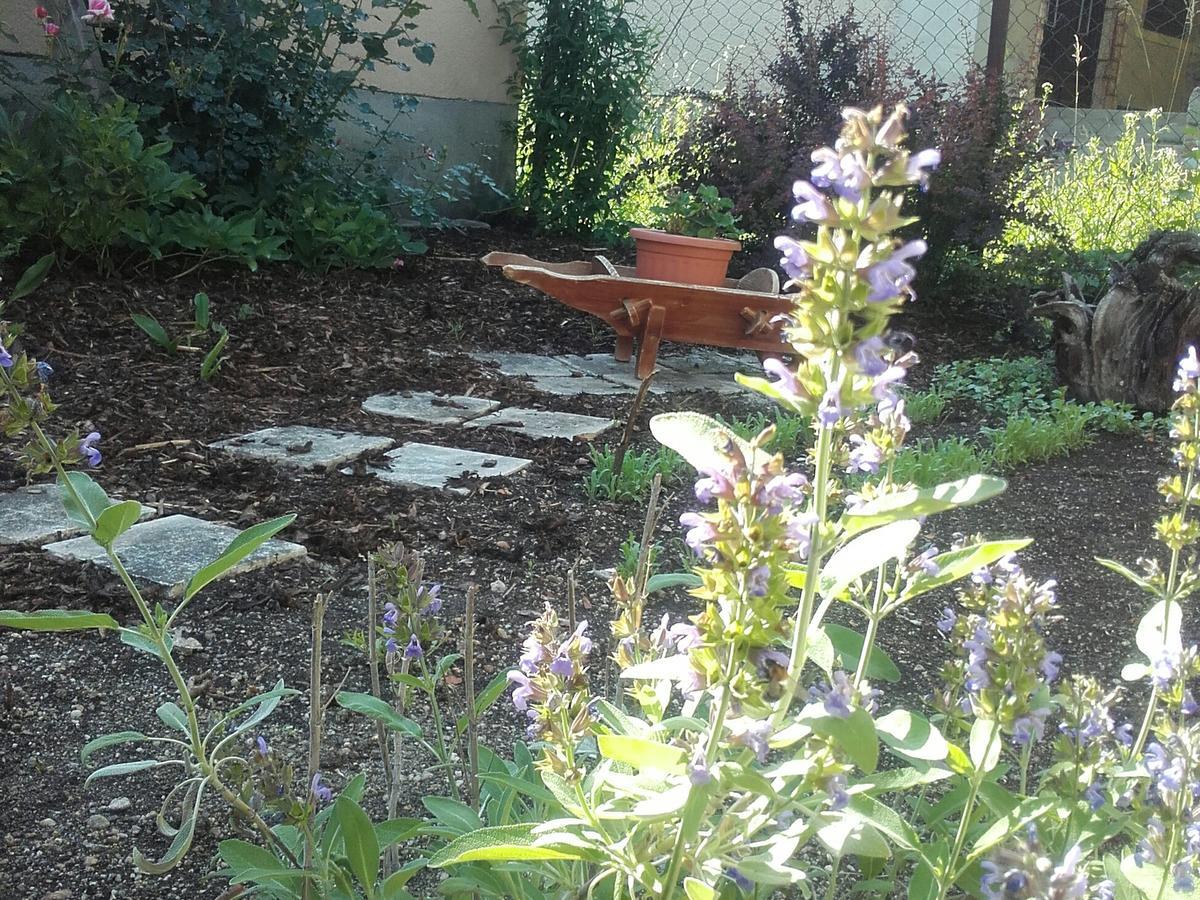Mezőkövesd Menta Apartman מראה חיצוני תמונה